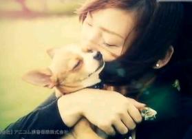 �y�b�g�ی�CM1